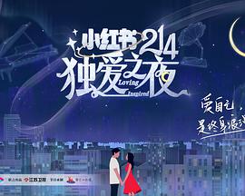 小红书214独爱之夜(大结局)